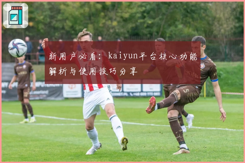 新用户必看:kaiyun平台核心功能解析与使用技巧分享